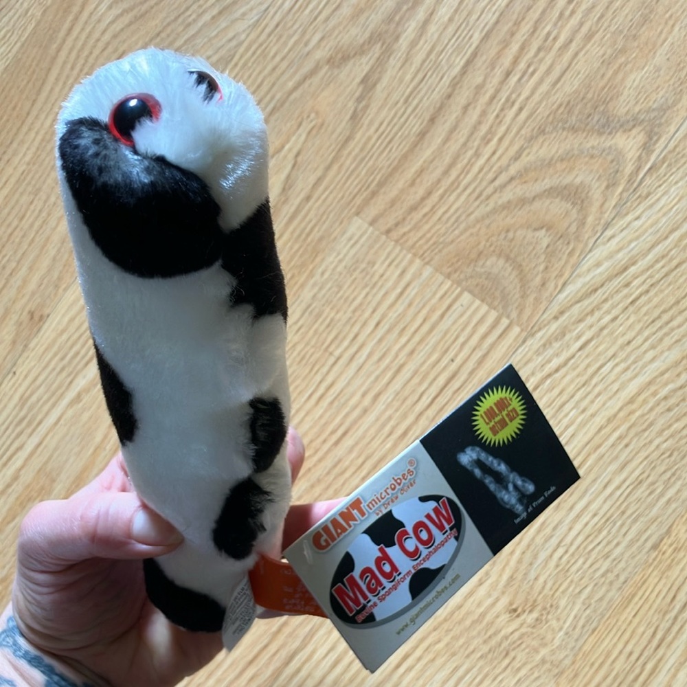 Black and White Cat Plush Accent